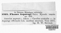 Image Associated With the Occurence